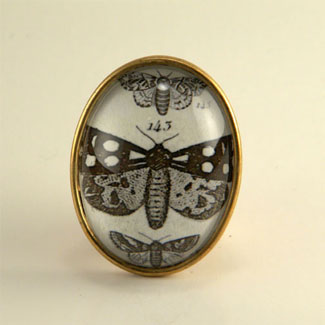 Speckled Wings Moth Brooch